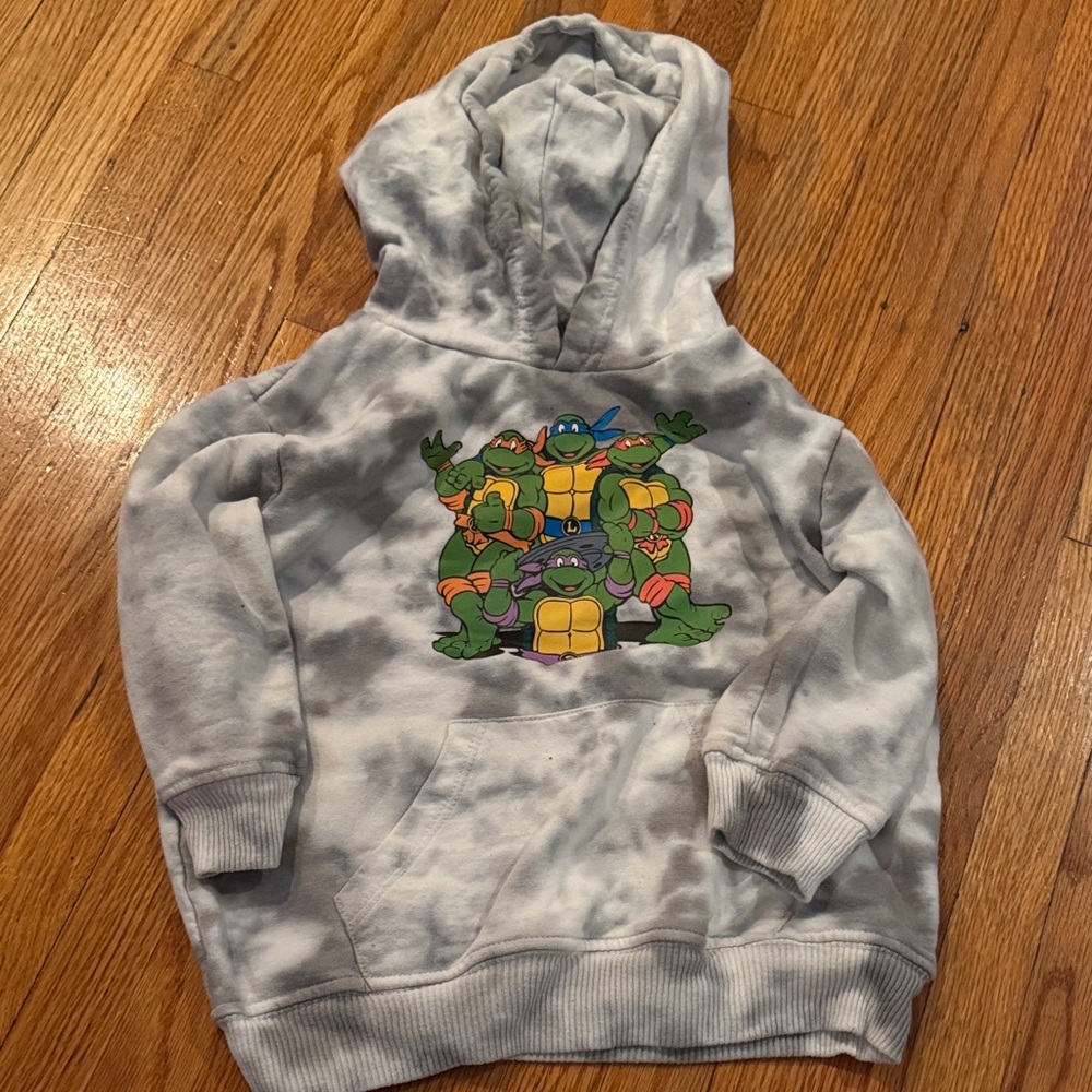 Nickelodeon Gray Hoodie with Ninja Turtles